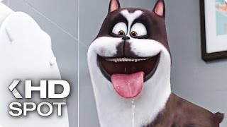 THE SECRET LIFE OF PETS Official HD