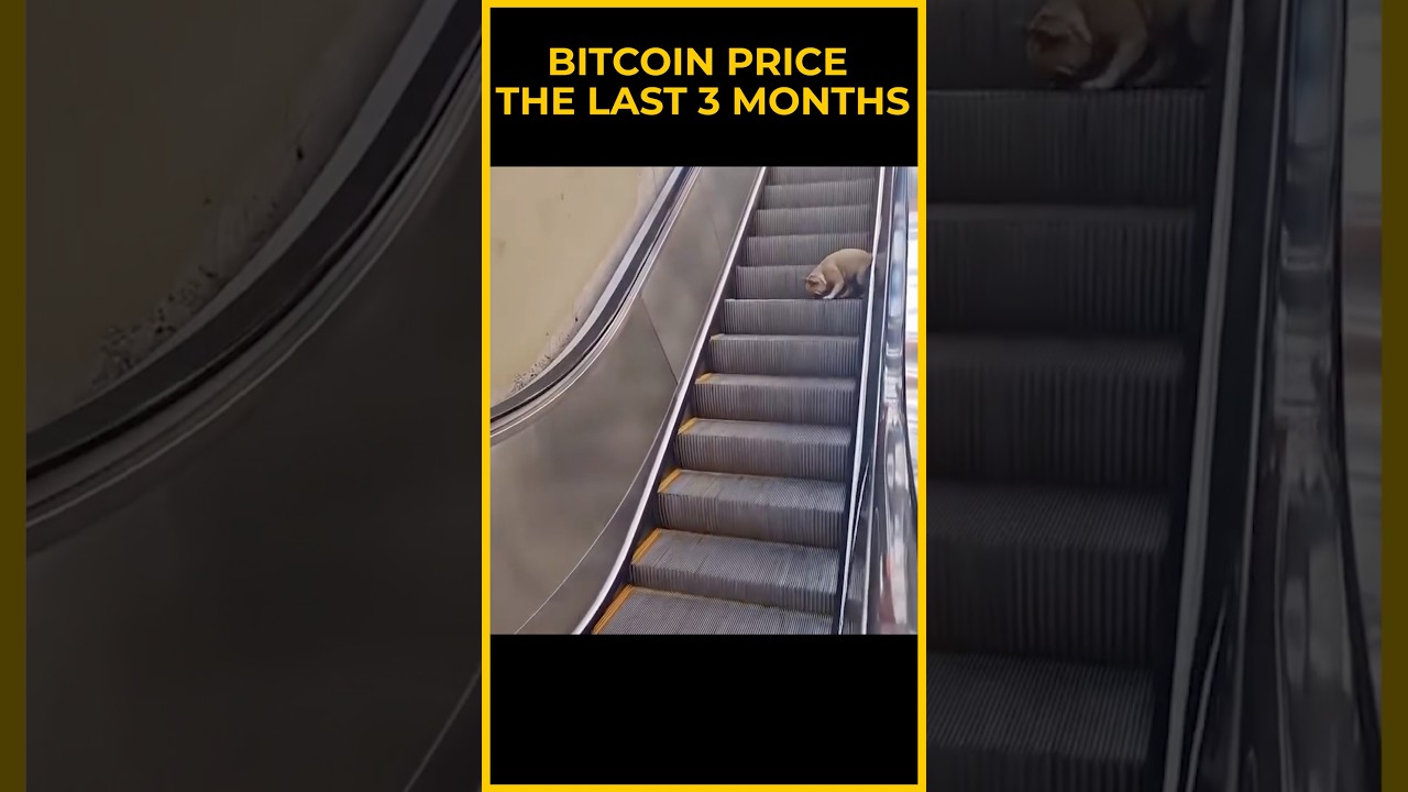 Bitcoin Price the Last Few Months 😂📈shorts