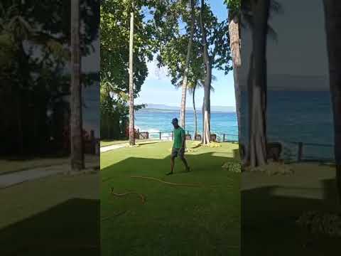 Property video