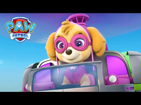 Psy zachrte kura! - Paw Patrol