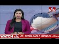 తెరుచుకున్న బాబ్లీ గేట్లు | Babli Gates Open In Maharashtra | hmtv  - 00:44 min - News - Video