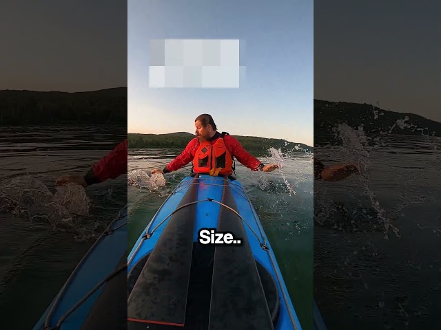 Bu Olmadan Kayık Kullanamazsınız.. (@canoe_slalom_ozolnieki & @wild_bones_)