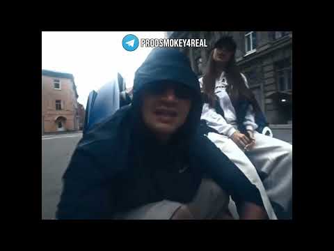 (FREE) ICEGERGERT x KIZARU TYPE BEAT – “Shark“