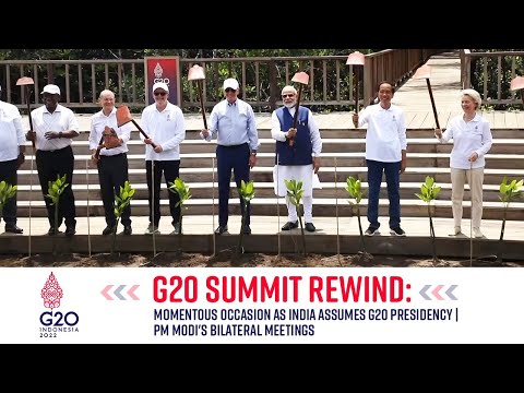 Viral: Momentous occasion as India assumes G20 Presidency; PM Modi's bilateral meetings