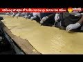 Guinness record for longest dosa made in Chennai