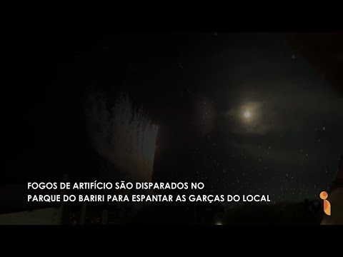 Vídeo: Fogos de artifício são disparados no Parque do Bariri para espantar as garças do local