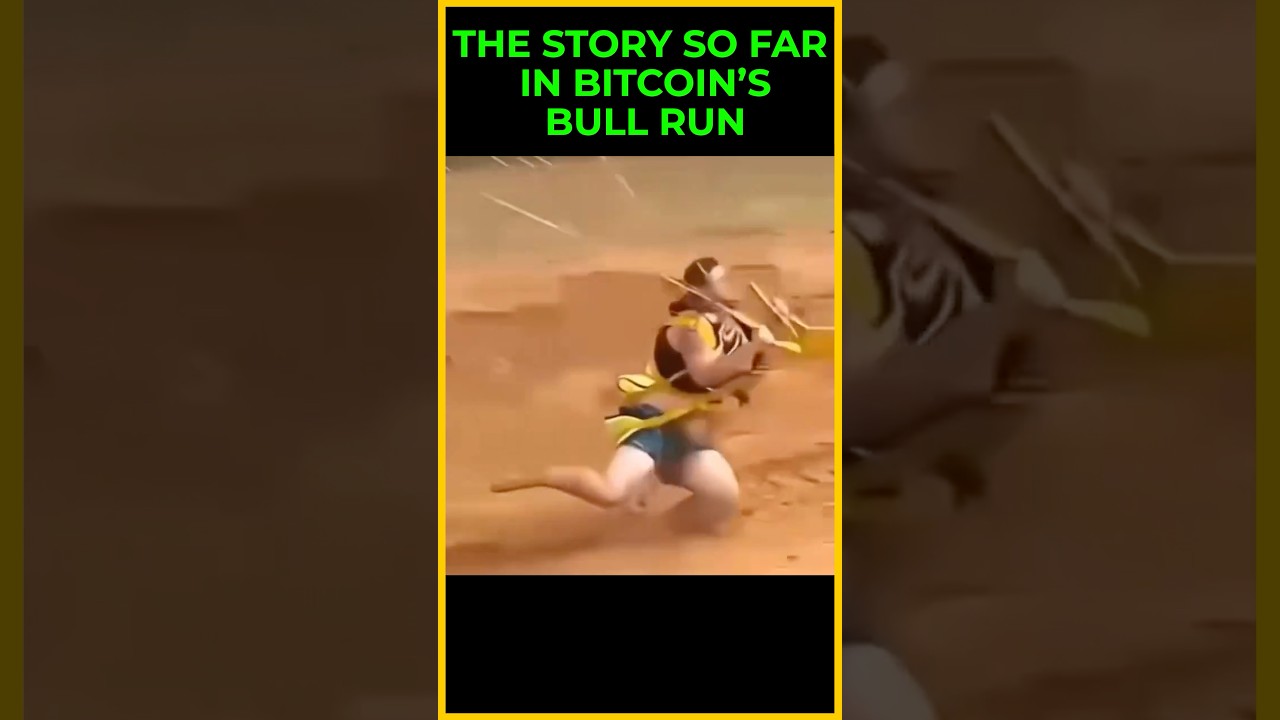 Bitcoins Bull Run Story so far 😂 shorts