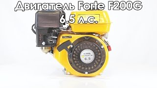 Forte F200G