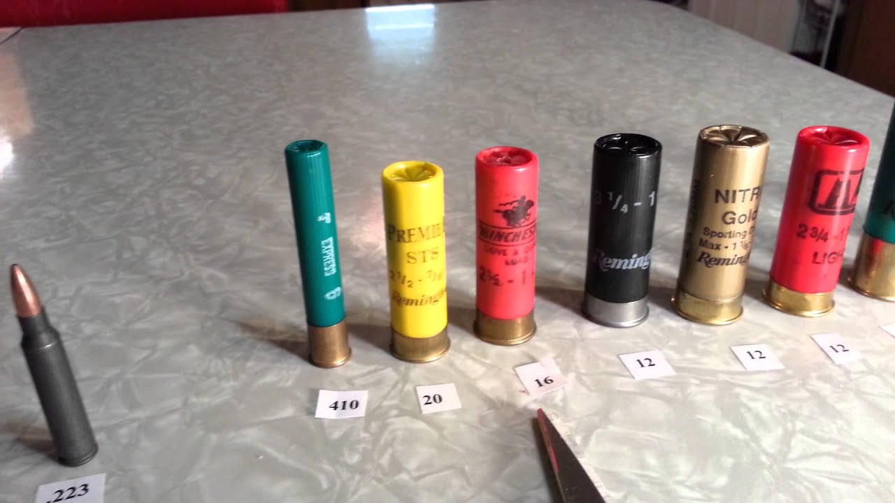 22-bullet-comparison-shotgun-shell-ammo-youtube