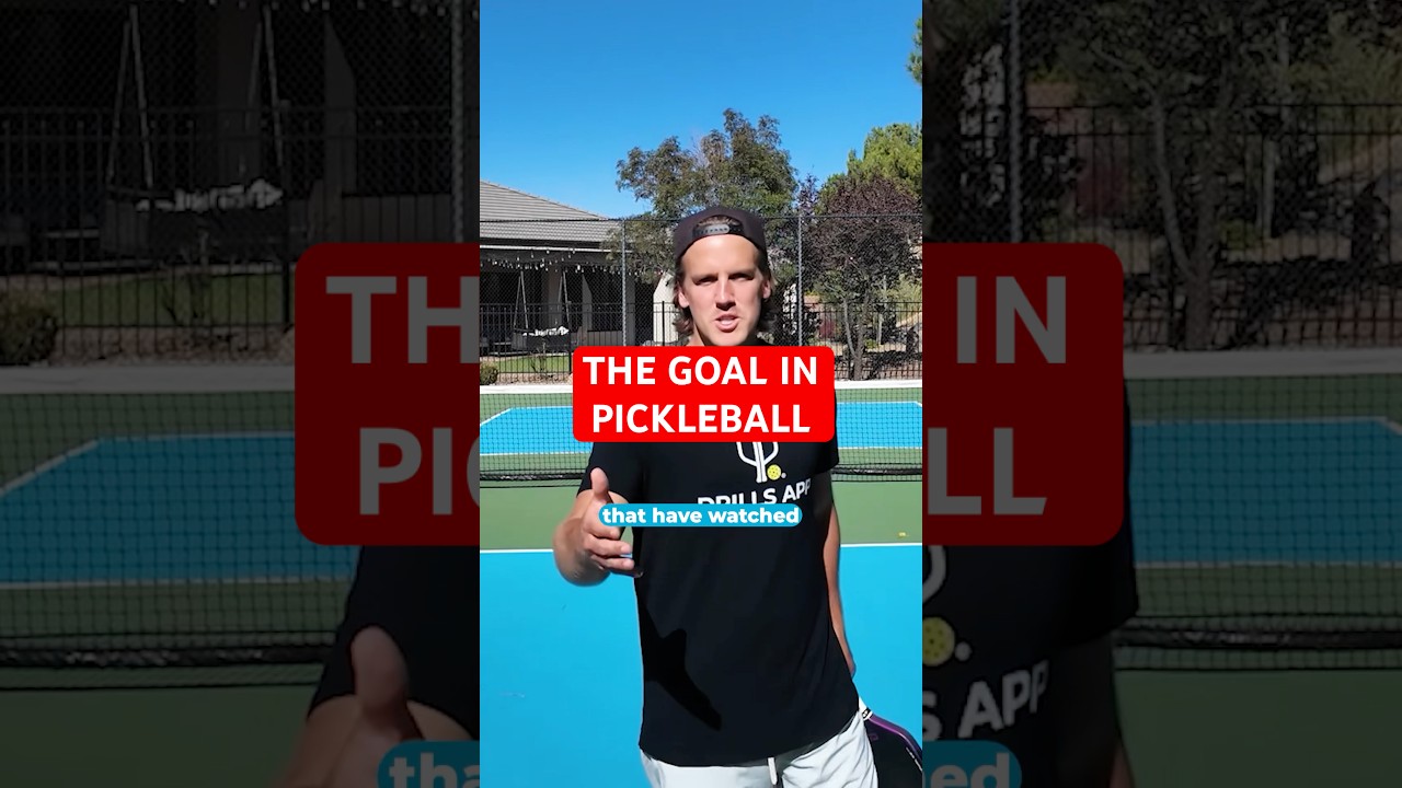 The goal in pickleball is not to get up to the net.