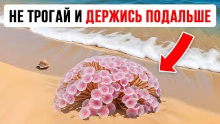 Увидели? Держитесь подальше или столкнетесь с последствиями!