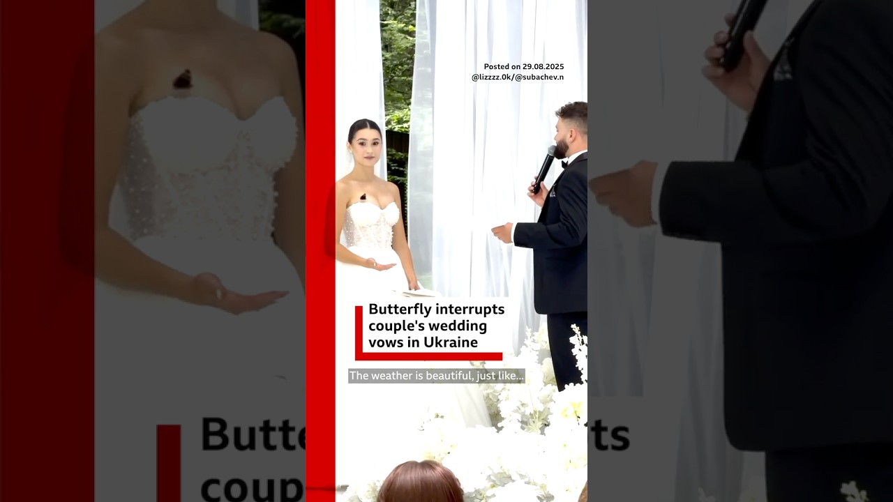 Butterfly interrupts couple's wedding vows in Ukraine. #WeddingVows #Wedding #BBCNews