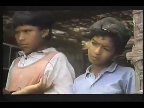 Caídos del cielo'