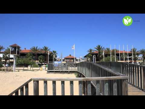 Property video