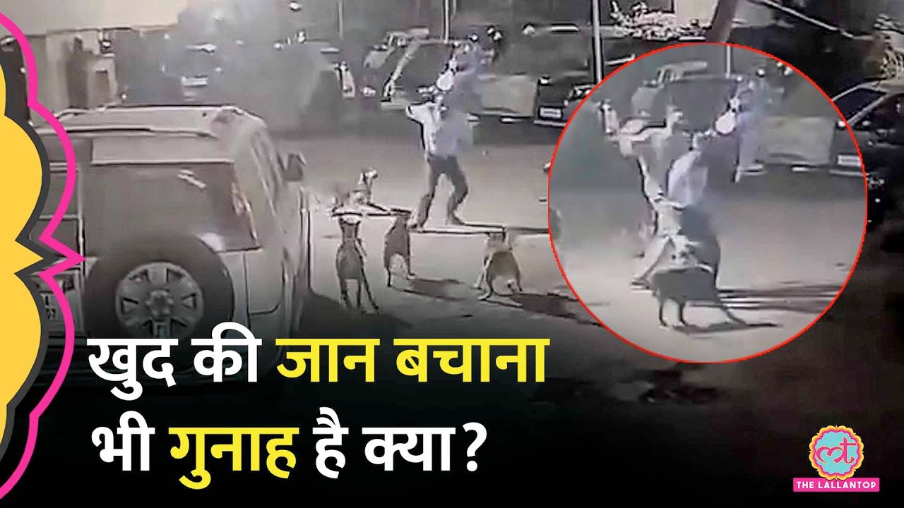 खुद को खतरनाक कुत्तों से बचा रहा था Guard, Dog लवर ने बेरहमी से पीटा, Police का क्या जवाब आया?