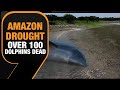 Over 100 Dolphins Dead As Temperature Soars Record-High| Amazon Drought| News9