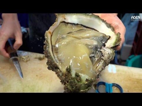 日本街頭美食: 特大號牡蠣