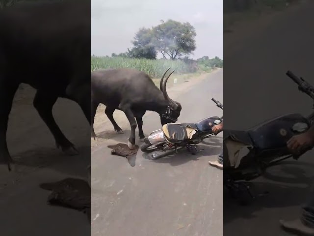 #नाद