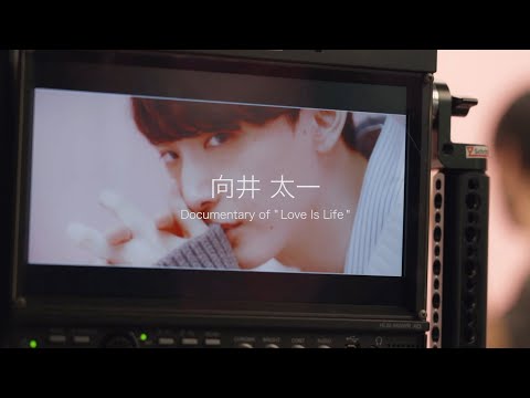 向井太一 / Love Is Life(Documentary Video)
