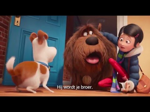 The Secret Life of Pets'