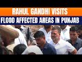 LIVE: Rahul Gandhi Visits Flood Affected Villages in Gurdaspur, Punjab and Interacts with Farmers