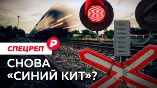 Личное: «Группа смерти» или банальность зла: что известно о тройном суициде под Липецком / Редакция спецреп