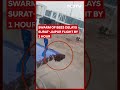 Surat-Jaipur Flight Delayed By 1 Hour. Reason: Swarm Of Bees On Cargo Door - 01:22 min - News - Video