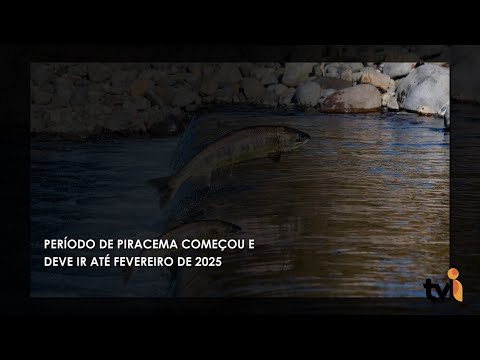 Vídeo: Período de Piracema começou e deve ir até fevereiro de 2025