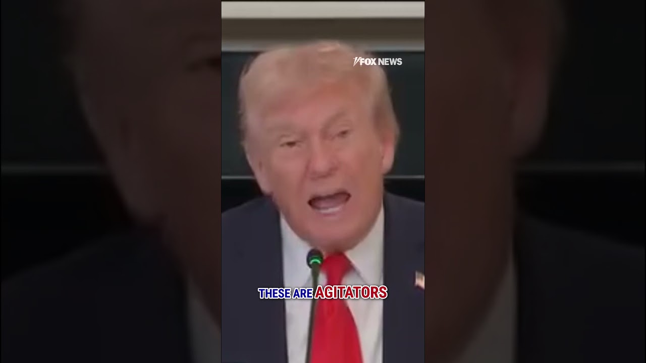 Trump: These are bad people that want to destroy our country #shorts #usa #us #trump #foxnews