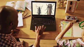 Acer Aspire 3 A315-31-P4U5 (NX.GNTEU.010) Black