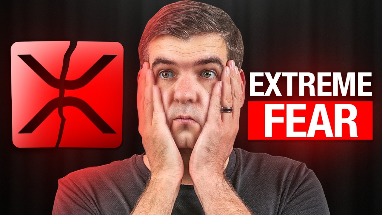 XRP Fear Is Sky High BUT I'm NOT SCARED!