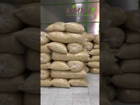 Progressing Cashew Nuts Kernels at Cashew Nuts Factory Kimmy Farm Vietnam