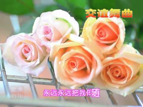 心中的玫瑰.AVI