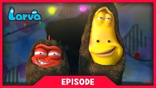 Larva - módní přehlídka