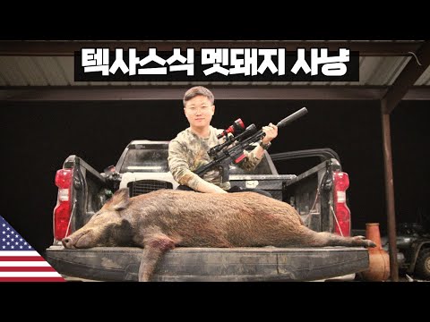 텍사스식 멧돼지 사냥 【아메리카10】