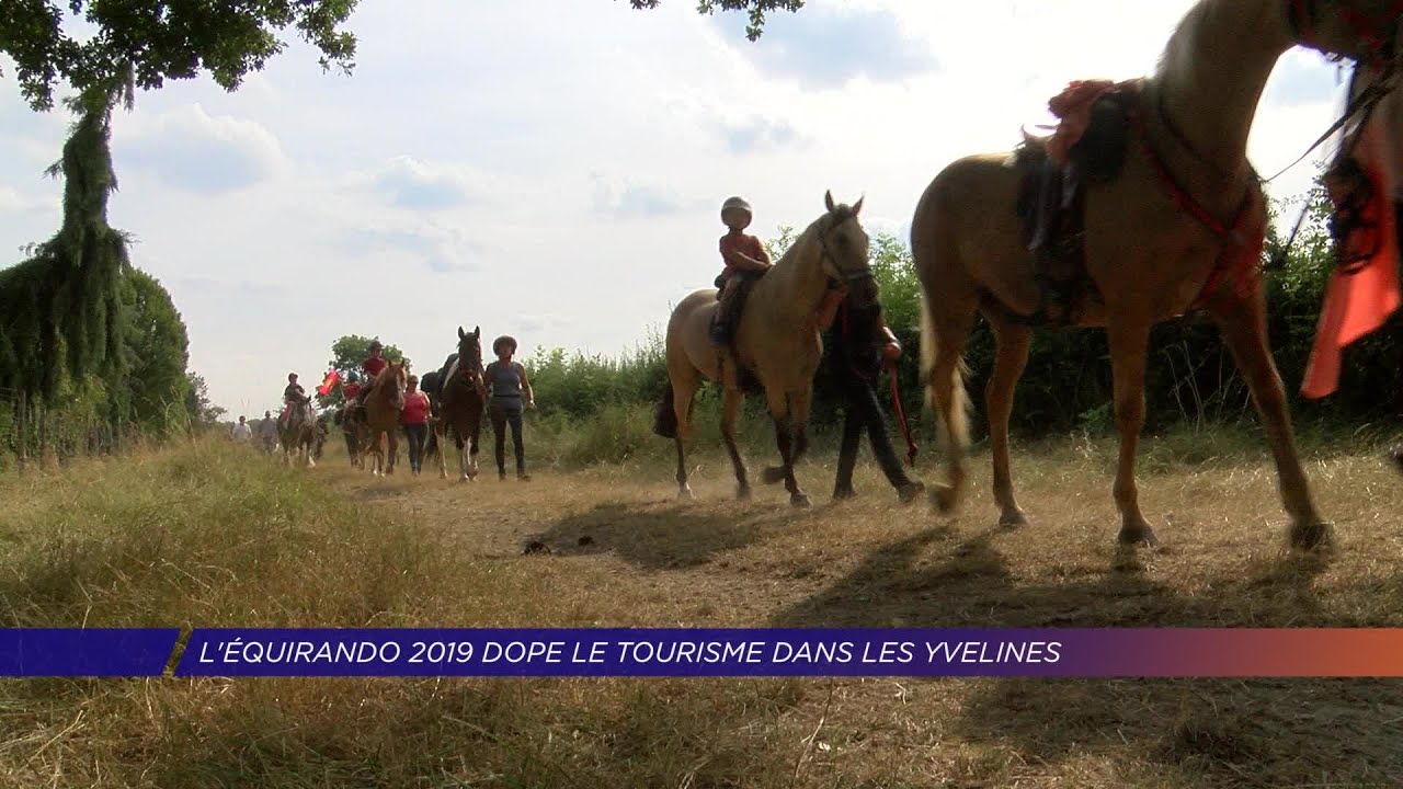 Yvelines | L’équirando 2019 dope le tourisme dans les Yvelines