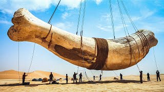 Невероятные открытия, начавшиеся со слов «Это просто камень»