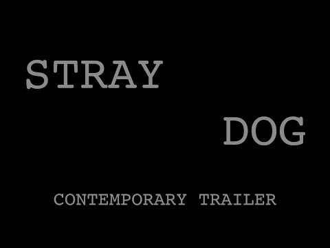 Stray Dog'