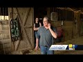 Students get on-site training at Plot Twist Horse Farm(WBAL) - 03:09 min - News - Video