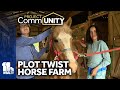Students get on-site training at Plot Twist Horse Farm