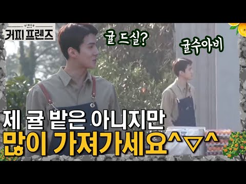 COFFEE FRIENDS 지금까지 이런 영업은 없었다! 다재다능 귤수아비 세훈 190222 EP.8