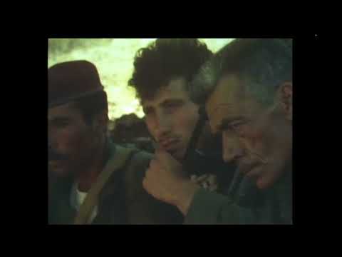 Sekigun-P.F.L.P: Sekai sensô sengen'