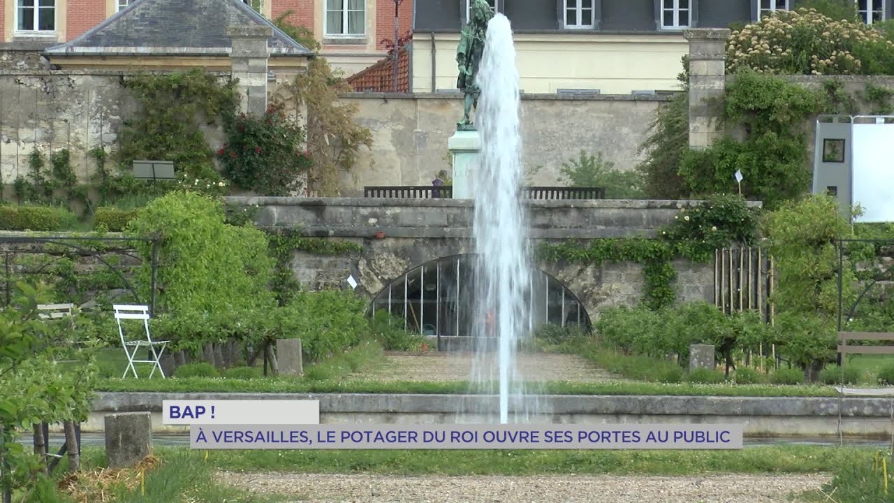 Yvelines | Versailles : Pour la BAP!, le potager du roi ouvre ses portes au public
