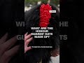 What are the honour guards hats made of?  - 00:57 min - News - Video
