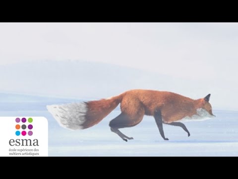 The Short Story of a Fox and a Mouse'
