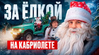 ЕДУ ЗА ЁЛКОЙ С ДРУГОМ, ЖИВУЩИМ С ОСОБЕННОСТЯМИ В РАЗВИТИИ! Дарю ему радость!