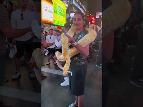 Viral: Himaja Showcases Her Fearless Encounter with a Snake
