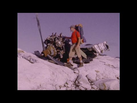 Shangri-La (Paradise Under Construction)'