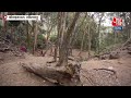 Kodaikkanal: रहस्यमय गुफाओं पर आधारित Film हिट होने के बाद यहां आने वाले पर्यटकों की संख्या बढ़ गई  - 02:04 min - News - Video