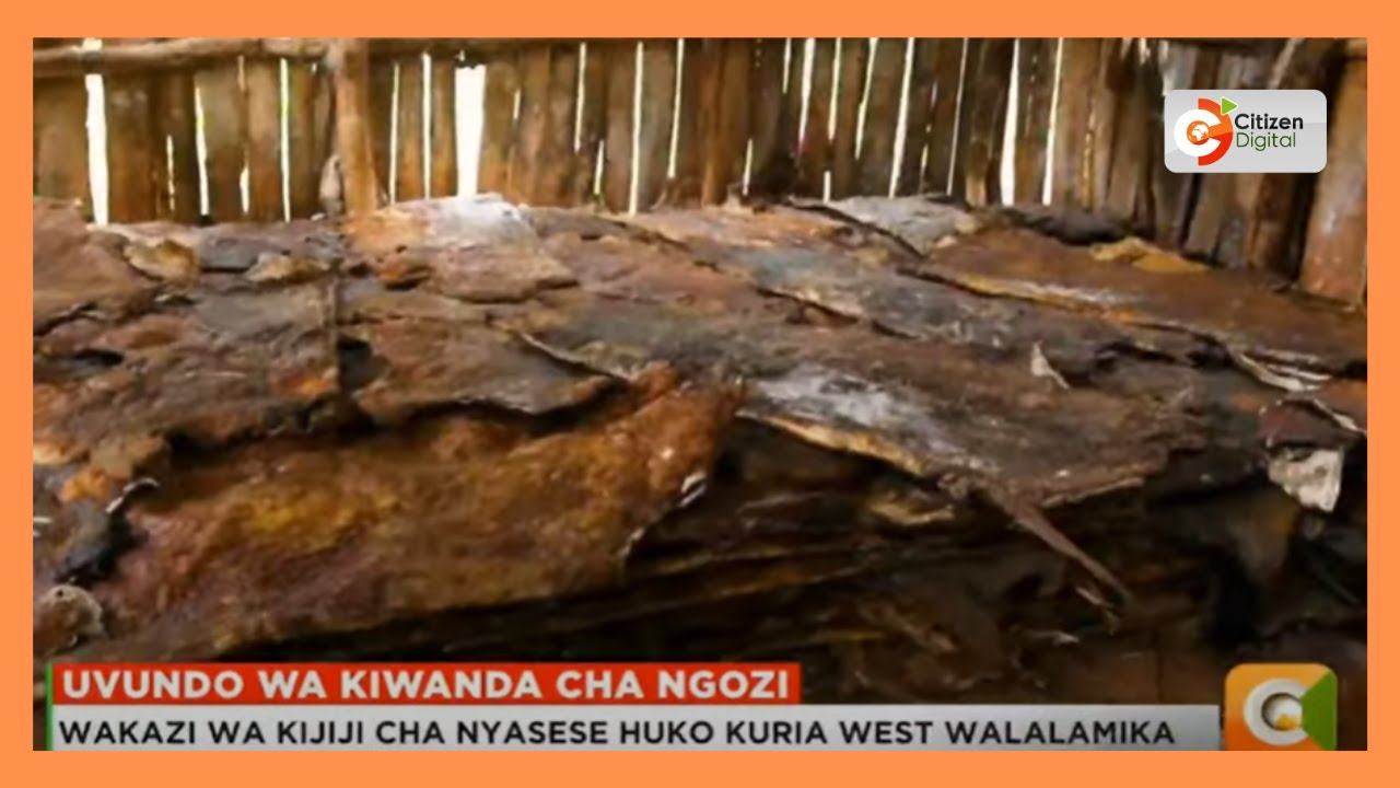 Wakazi wa kijiji cha Nyasese huko Kuria walalamika